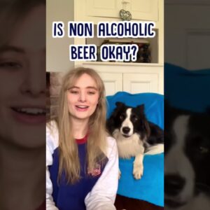 Why Shouldn’t You Give Beer to Your Dog? #shorts #relaxmydog