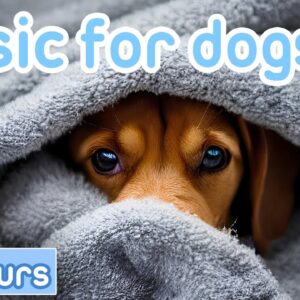 CALM YOUR DOG | Soothing Sounds to Relax Anxious Dogs [NEW 2023]
