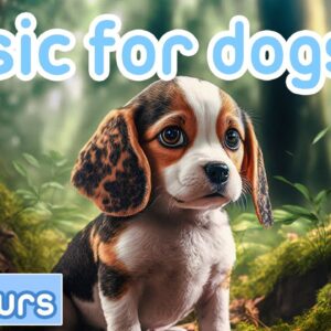 RELAX YOUR DOG | 20 Hours of Relaxing Music for Dogs! [NEW 2023]