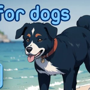 Dog TV: Best Fun & Relaxing TV for Dogs + Music to Prevent Boredom and Anxiety!