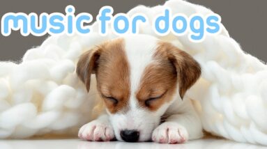 Deep Separation Anxiety Music for Dogs | Helped 20 Million Dogs Worldwide!