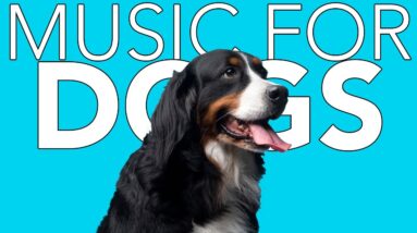 How to Relax Your Dog Music: 20 Hours of Calming Songs for Dogs!