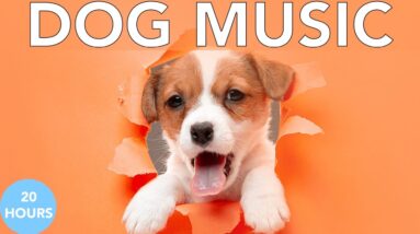 Relax My Dog Music: Deep Separation Anxiety Music to Calm Dogs!