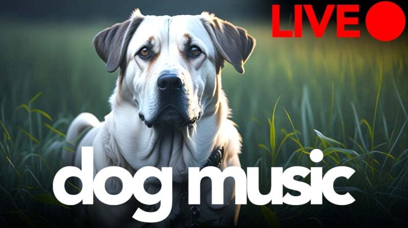 Dog Music LIVE - Soothing Sleep Sounds for Dogs - Gentle Relaxation Songs