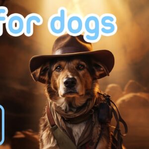 DOG TV: Exciting Adventure Virtual TV for Dogs with Relax My Dog Music!