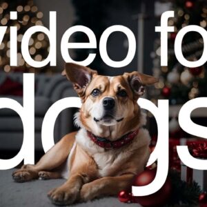 Video For Dogs LIVE - All-Day Entertainment for Your Dog to Watch