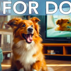 10 Hours Relaxing TV for Dogs: Entertaining Fun to Cute Separation Anxiety + Music!