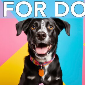 TV FOR DOGS [NEW 2024] | Virtual Video Entertainment for Dogs with Anxiety!