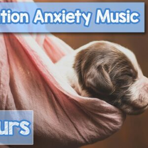 15 Hours of Deep Separation Anxiety Sleep Music for Dogs! Canine Relaxation!