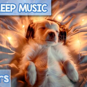 EXTREME RELAXATION Dog Music! Hours of Sleep Sounds to Relax Any Dog!