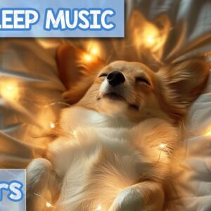 EXTRA-RELAXING Music for Dogs 🐶 Eliminate Separation Anxiety!