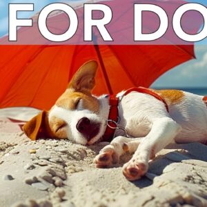 10 Hours Anti-Anxiety and Boredom TV for Dogs with Relaxing Music!