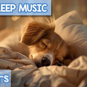 COMPLETE RELAXATION Music for Dogs! Help Your Dog Sleep Quick and Easy!