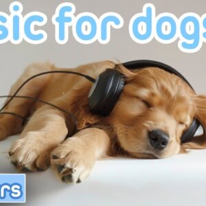 MUSIC TO RELAX DOGS! Try Our Unique Music and Watch Your Dog Sleep Instantly!