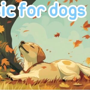 DOG MUSIC: Unique Sound Technology to RELAX YOUR DOG 🐶