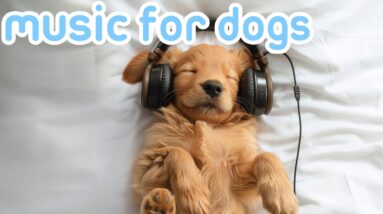 20 HOURS of Dog Music: Ambient Soundscape Music to Aid Your Dog in Deep Relaxation!