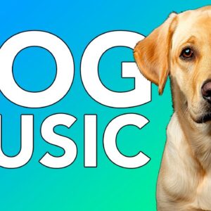 20 HOURS of Deep Separation Anxiety Music for Dog Relaxation! Helped Millions of Dogs!