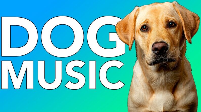 20 HOURS of Deep Separation Anxiety Music for Dog Relaxation! Helped Millions of Dogs!