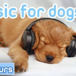 The Best Dog Music on YouTube! Dog Relaxation: 65BPM Pads & Synths