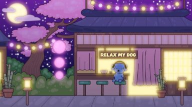 20 HOURS of Deep Sleep Anti Separation Anxiety Dog Music 💖 Calming Dog 🎵stressed dog🐶 Relax My Dog