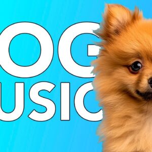 Dog Music: Anti-Anxiety Music, Separation Anxiety, Depression