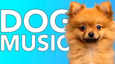 Dog Music: Anti-Anxiety Music, Separation Anxiety, Depression