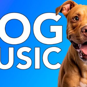 DOG SLEEP MUSIC! Calming Ambient Songs to Help Dogs with Insomnia!