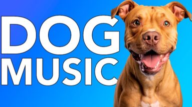 DOG SLEEP MUSIC! Calming Ambient Songs to Help Dogs with Insomnia!