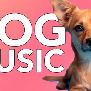 Music for Dogs: Calming Music for Dog Anxiety! NEW