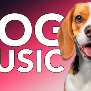 Music for Dogs: Calming Sleep Music to Combat Insomnia! NEW 2024