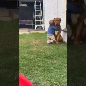 Dog looks so proud to be loved by his boy! #dogs #cute #cutedogs #cuteanimals #heartwarming