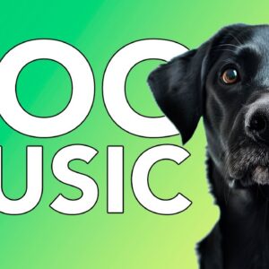 20 Hours Calming Sleep Music 💖 Anxiety Relief Music, Relaxing Sleep Music ♬ Baby Dog Cute Puppy Meme