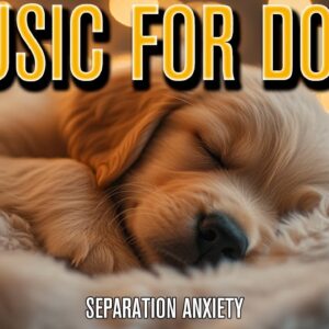 Chill Your Dog Music | Relaxing Sleep Vibes!