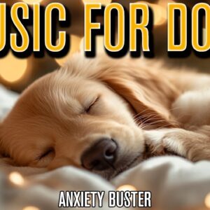 Dog Chillout Lounge | Hours of Relaxing Music