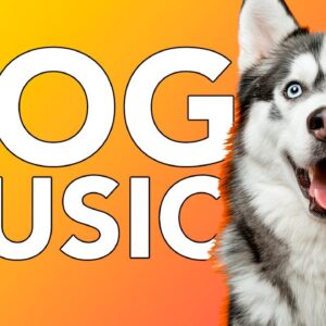 Dog Music: Healing Separation Anxiety Music for Lonely Sad Dogs!