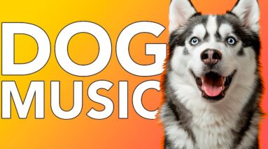 Dog Music: Healing Separation Anxiety Music for Lonely Sad Dogs!