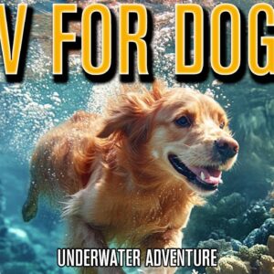 DOG TV | Underwater Virtual Adventure for Dogs!