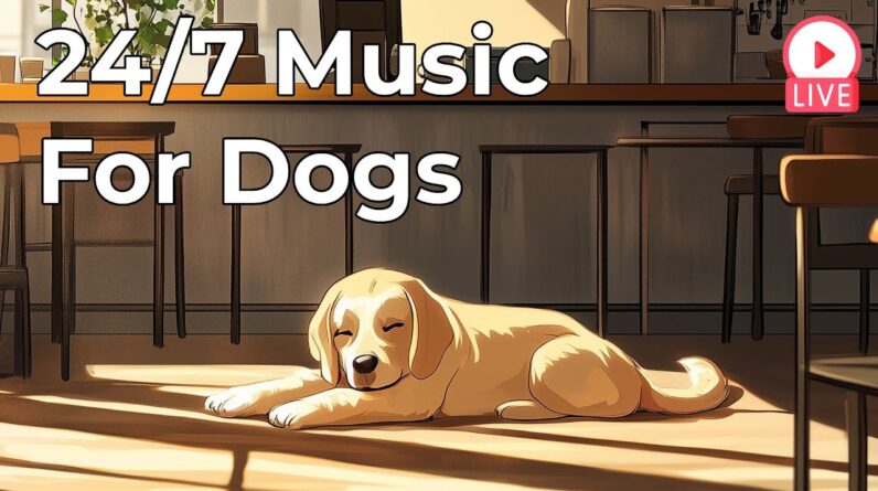 🔴 [LIVE] Calming Music for Dogs 24/7 Relax and Stress Relief