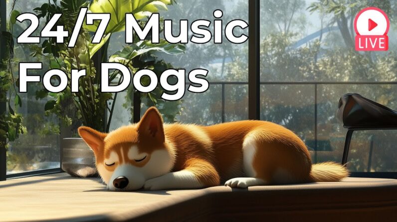 🔴 [LIVE] Relaxing Music for Dogs Calm 24/7