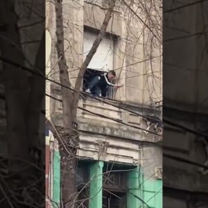 Nerve wracking moment dog is rescued from balcony after near fall! #shorts #dogs #dog