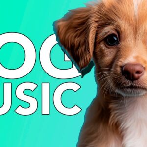 MUSIC FOR DOGS: The Best Relaxing Music for Anxious Dogs!