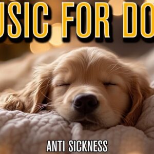 SICK DOG MUSIC: Soothing Music for Poorly Dogs, Dogs with Illness!