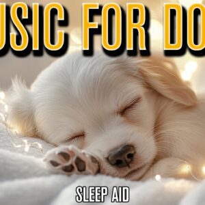 Sleep Music for Dogs | Healing Sleep Aid