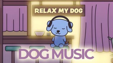 Relaxing Dog Music TV (Live 24/7) Used by 10 Million Dogs, Deep Sleep Anxiety Therapy