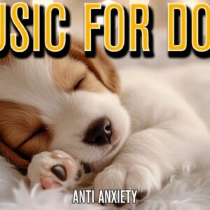 EXTRA LONG Music for Dogs. | Relaxing Anti Anxiety Music!