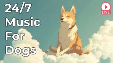 🔴[LIVE] Constant Relaxing Music for Dogs - 24/7 Calm and Peace