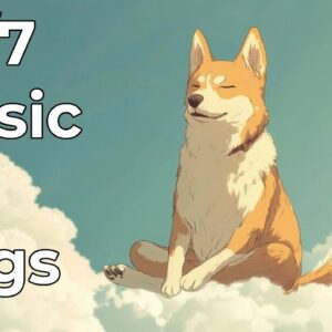 🔴[LIVE] Constant Relaxing Music for Dogs - 24/7 Calm and Peace