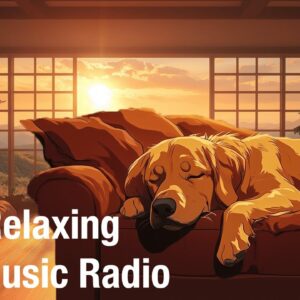 🔴[LIVE] Relaxing Calm Music for Dogs 24/7