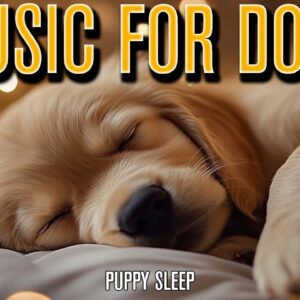 Puppy Sleep Music | Calming Sounds for Anxious Puppies!