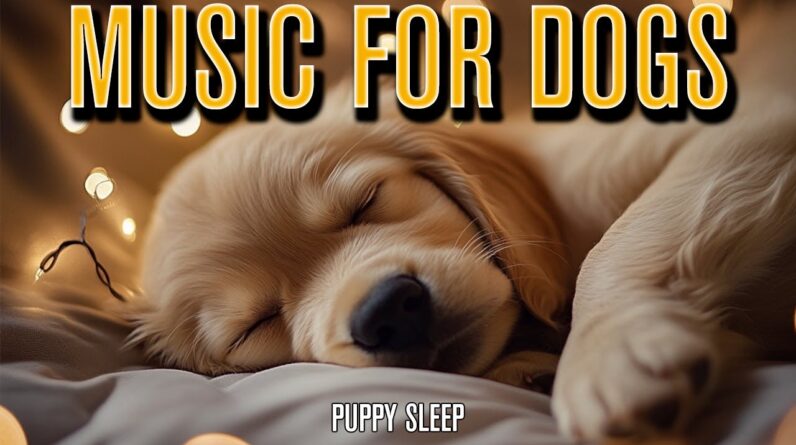 Puppy Sleep Music | Calming Sounds for Anxious Puppies!